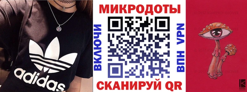 Псилоцибиновые грибы Psilocybe Орехово-Зуево