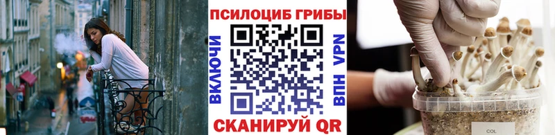 Псилоцибиновые грибы ЛСД  мориарти наркотические препараты  Орехово-Зуево 