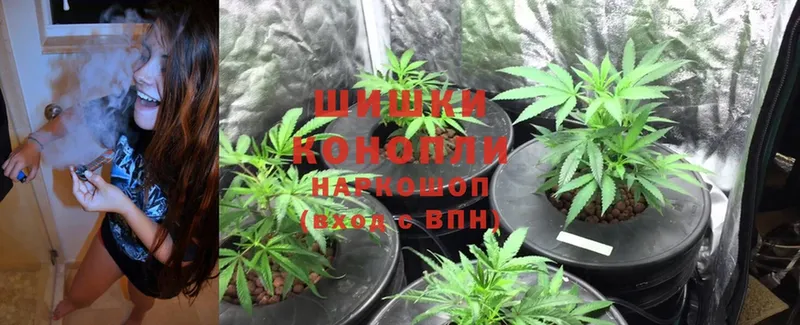 Бошки Шишки White Widow  Орехово-Зуево 